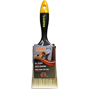 Dynamic 09810 4" (100mm) Paint Pal Flat Polyester Brush